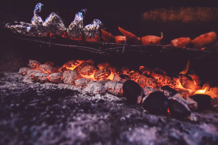 GRILL FUNSURF BAZA POLARIS